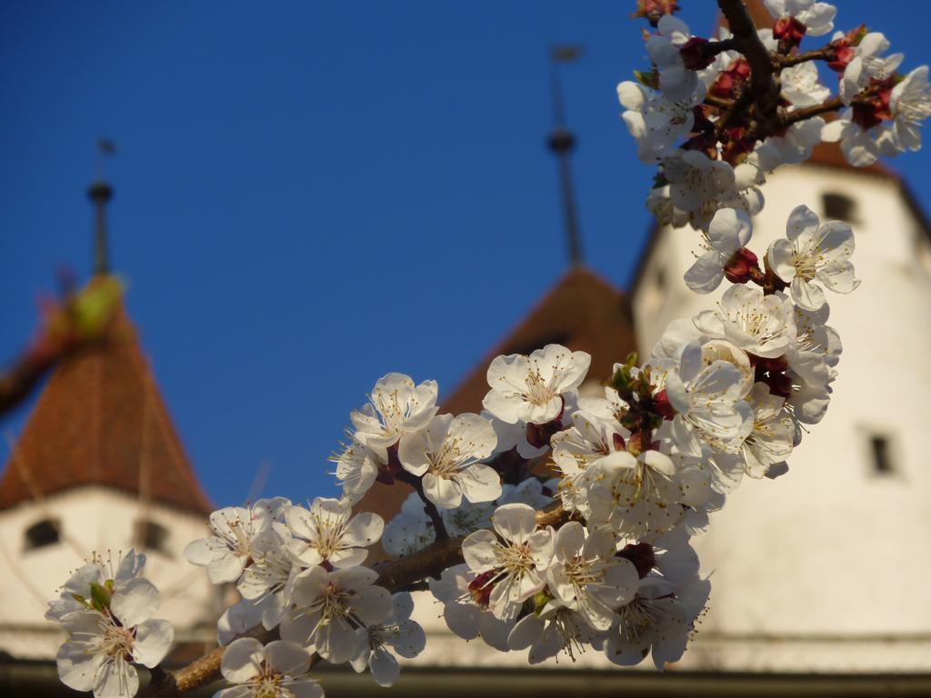 Hotel Restaurant Schwert Thun Exterior photo